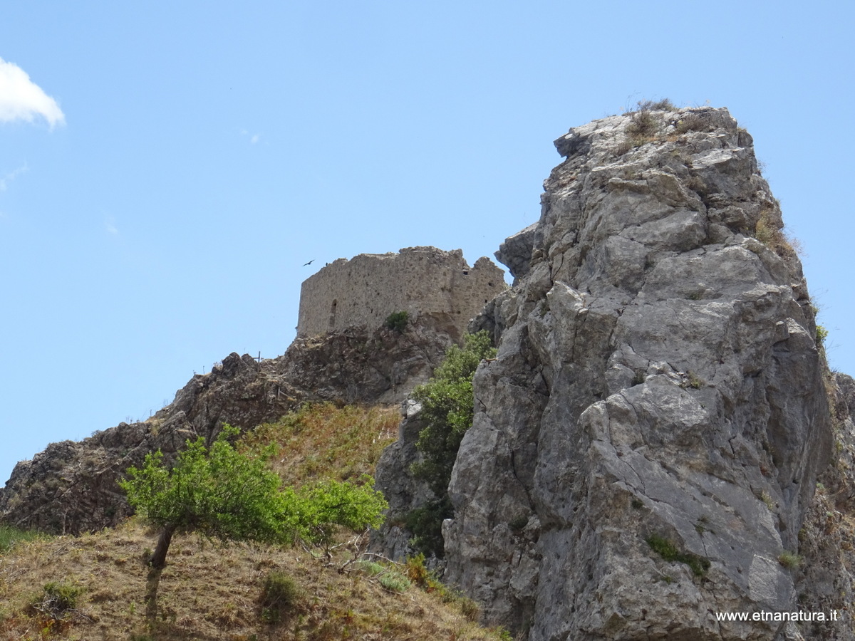 Castello Fiumedinisi-Numero visite:33453