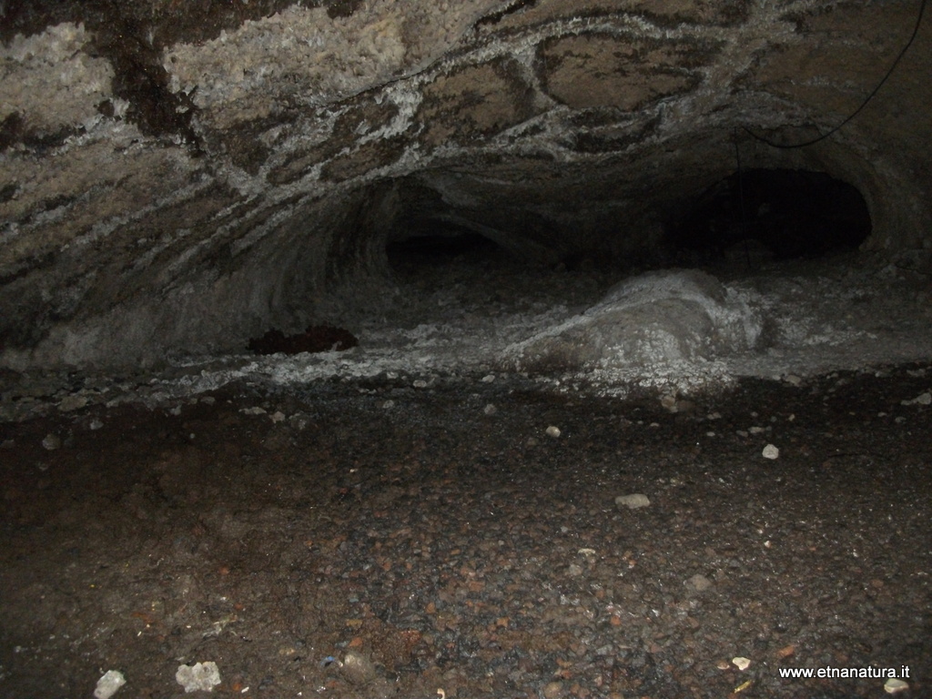 Grotta Petralia-Numero visite:34875