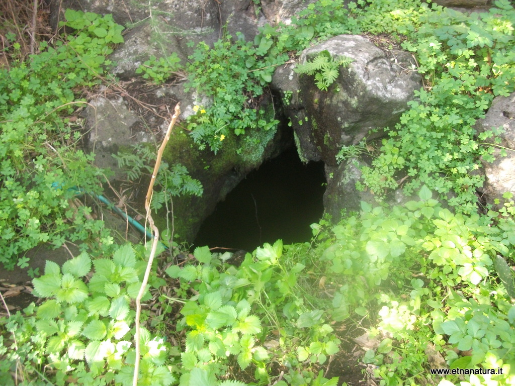 Grotta dei Roditori-Numero visite:31418