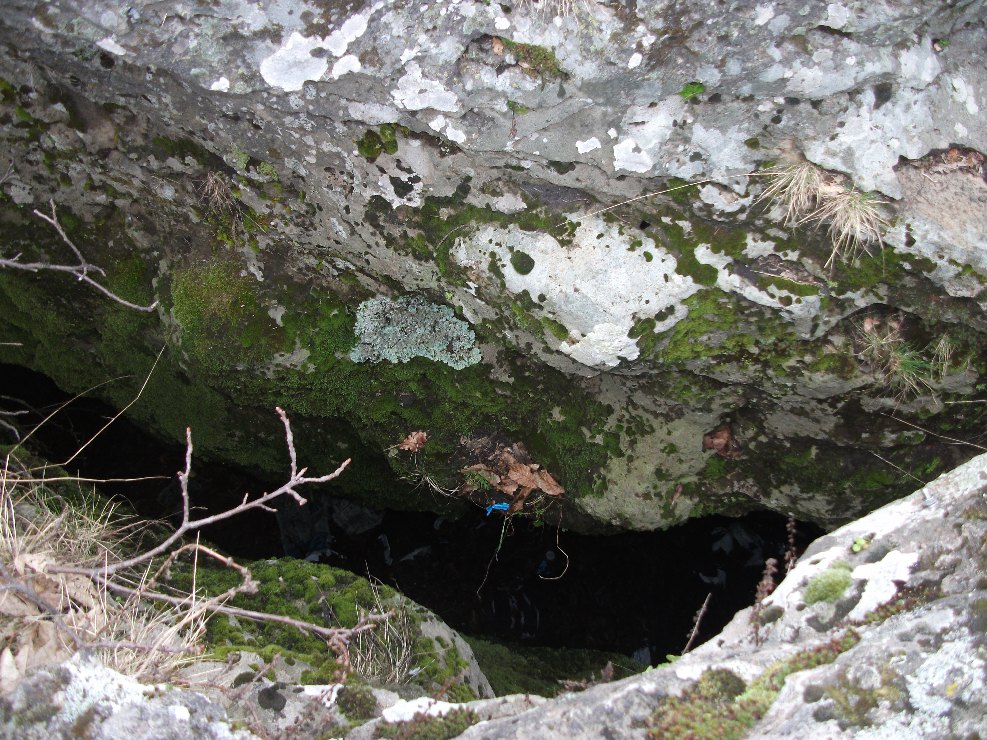 Grotta del Coniglio-Numero visite:32921
