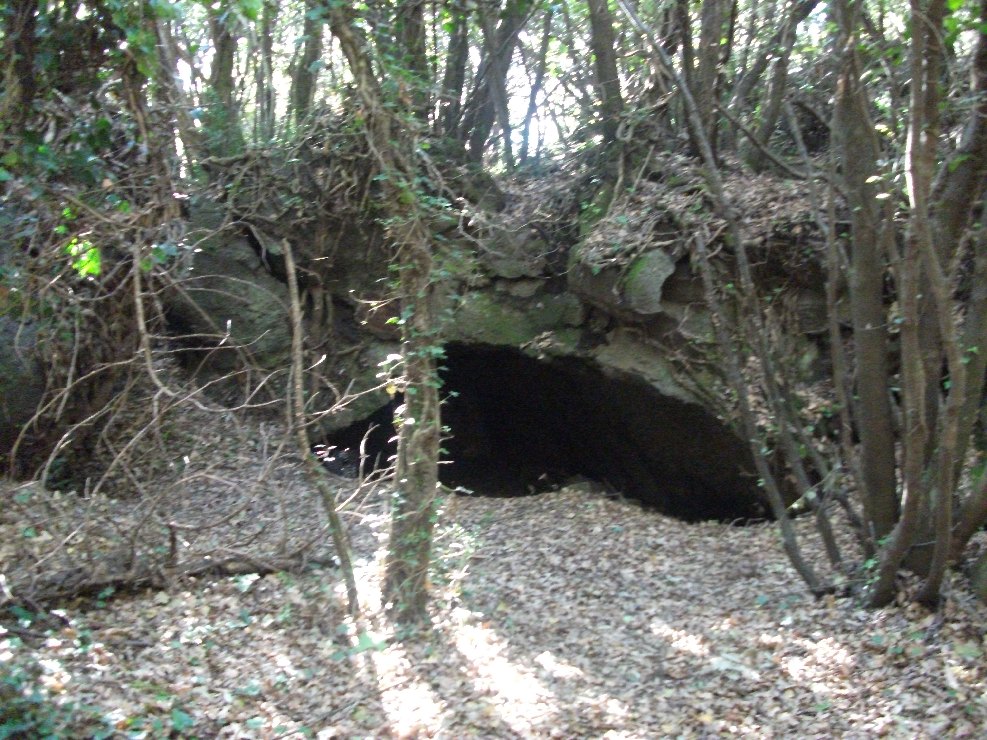 Grotta del Gatto-Numero visite:36569