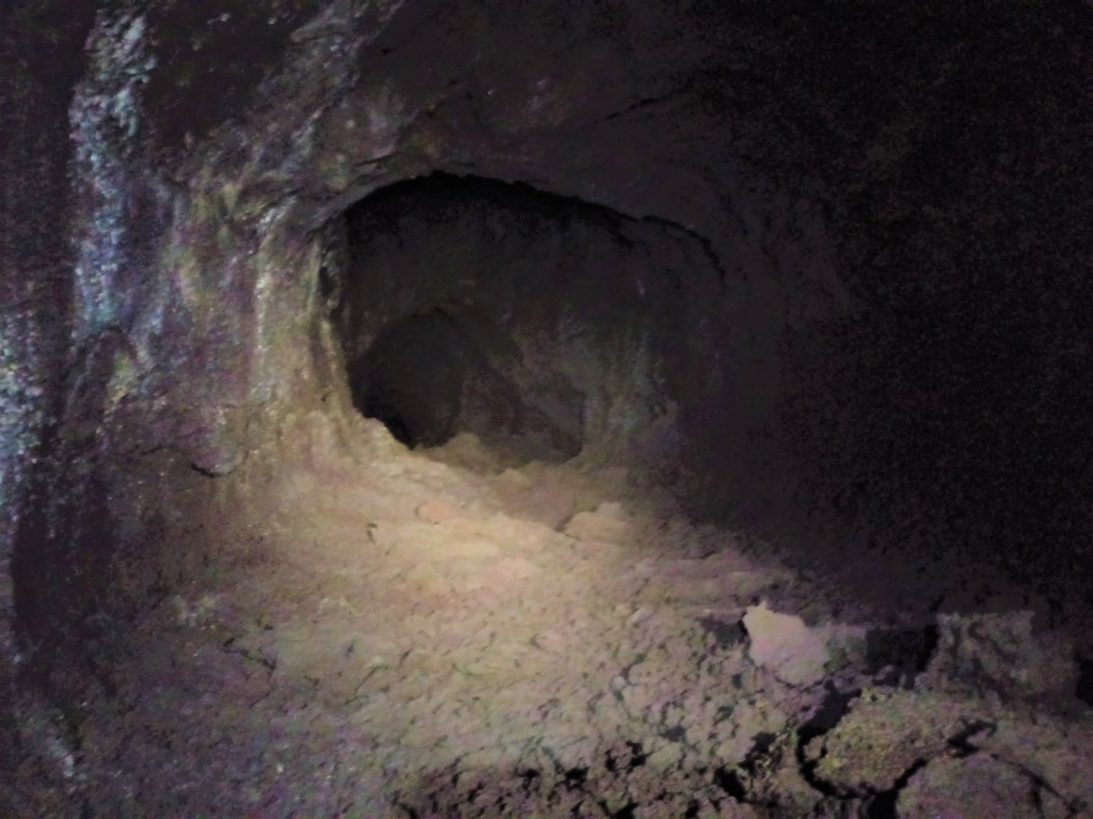 Grotta del Lago-Numero visite:16184