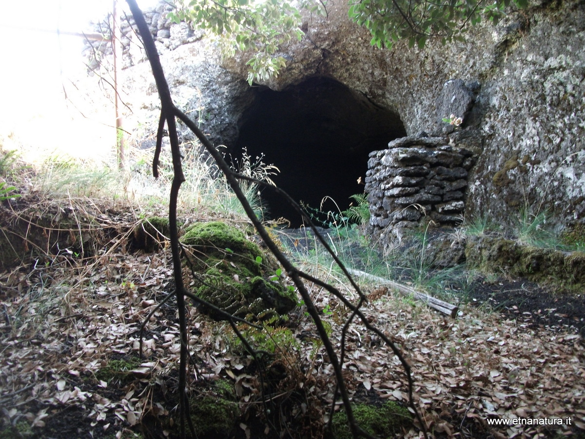Grotta monte Arcimis-Numero visite:33966