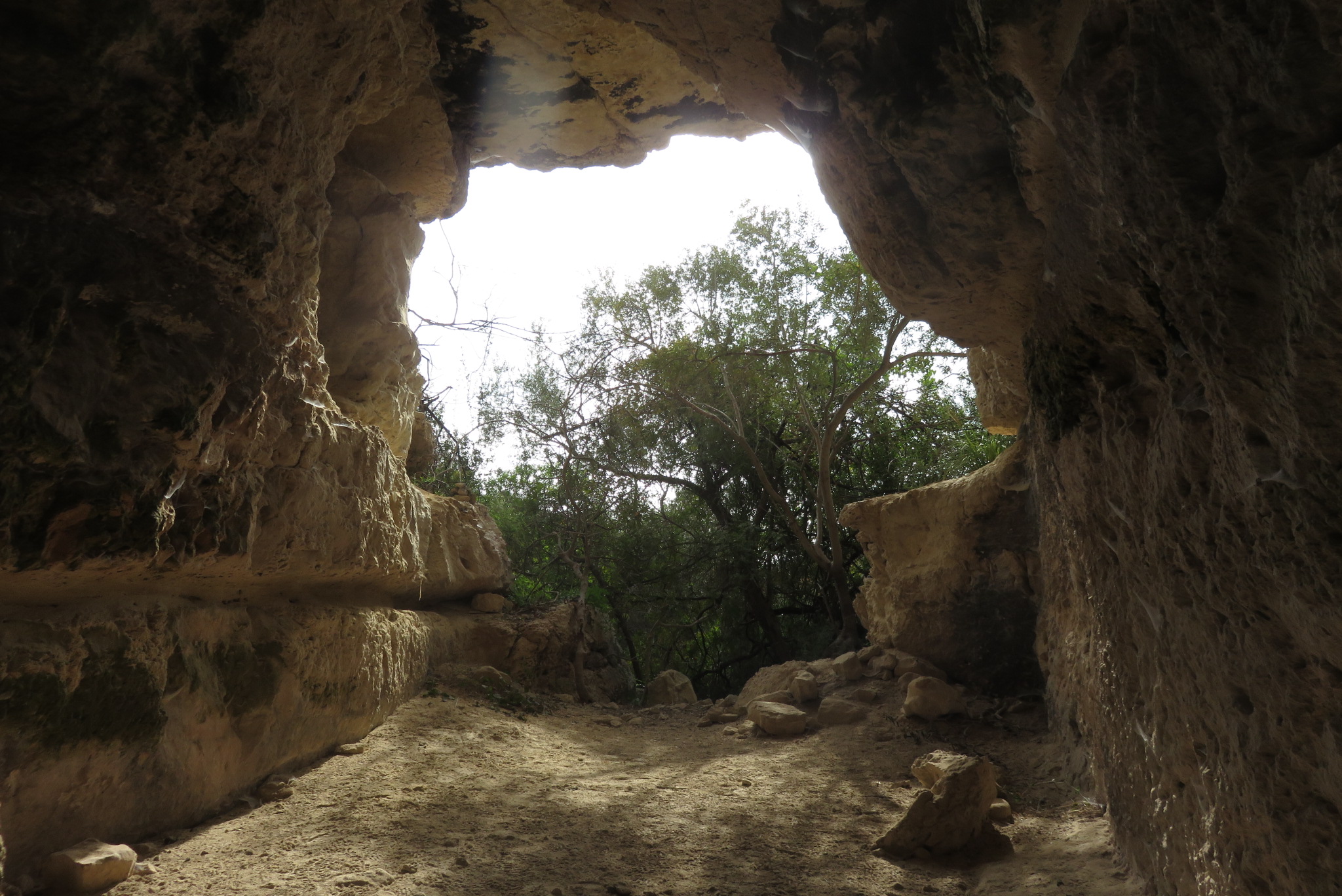 Grotta san Paolo-Numero visite:2878