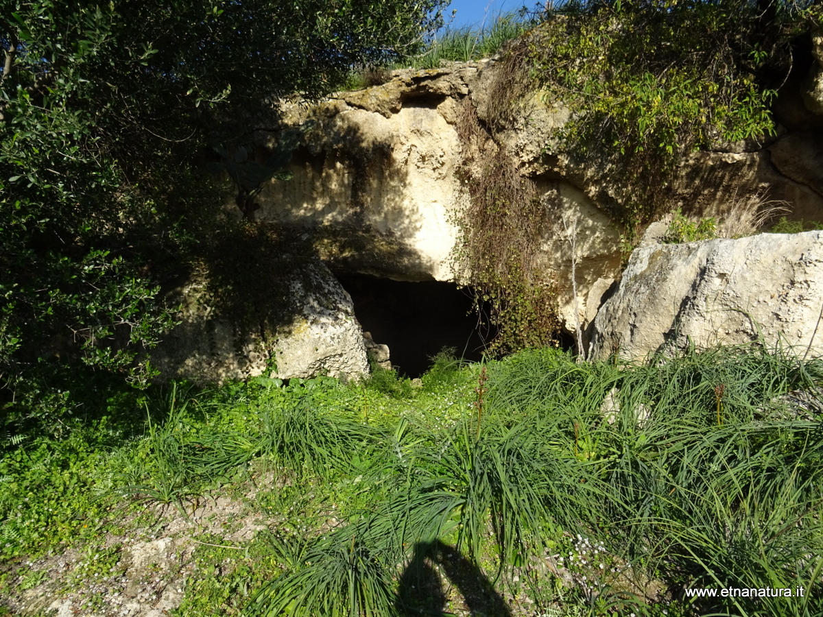 Grotte san Giorgio-Numero visite:28207