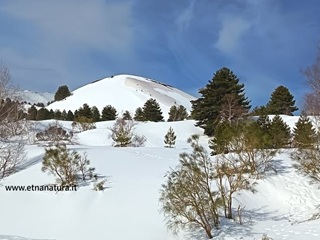 Foto Foto