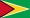 Guyana numero visitatori 13
