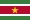Suriname numero visitatori 6